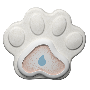 PAWPAW DEHUMIDIFIER STONE