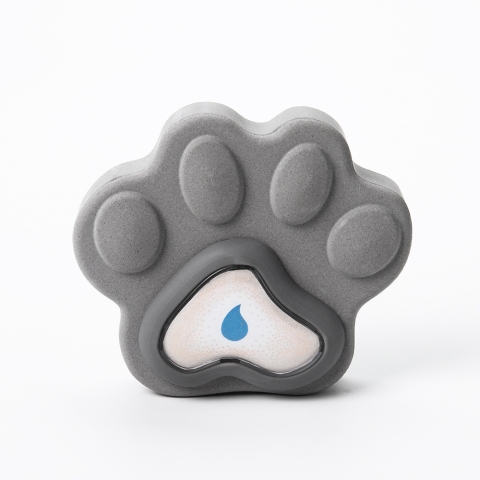 SDPAWPAW_silent-dry_1000x1000px-0